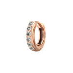 Load image into Gallery viewer, 0.60 Ct Round Cut Moissanite Hoop Earrings For Unisex