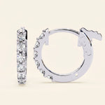 Load image into Gallery viewer, Classic Huggie Hoop Earrings