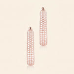 Load image into Gallery viewer, Latch Back Hoop Earrings