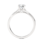 Load image into Gallery viewer, Round Stone with Bridge Accent Moissanite Ring white gold