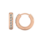 Load image into Gallery viewer, 0.60 Ct Round Cut Moissanite Hoop Earrings For Unisex
