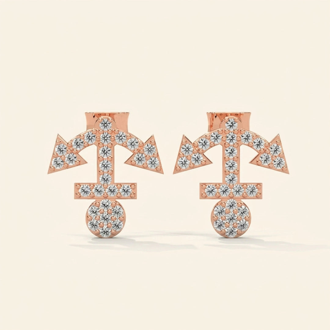 Boucles d'oreilles clous Ancre