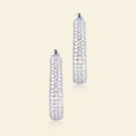 Load image into Gallery viewer, Latch Back Hoop Earrings
