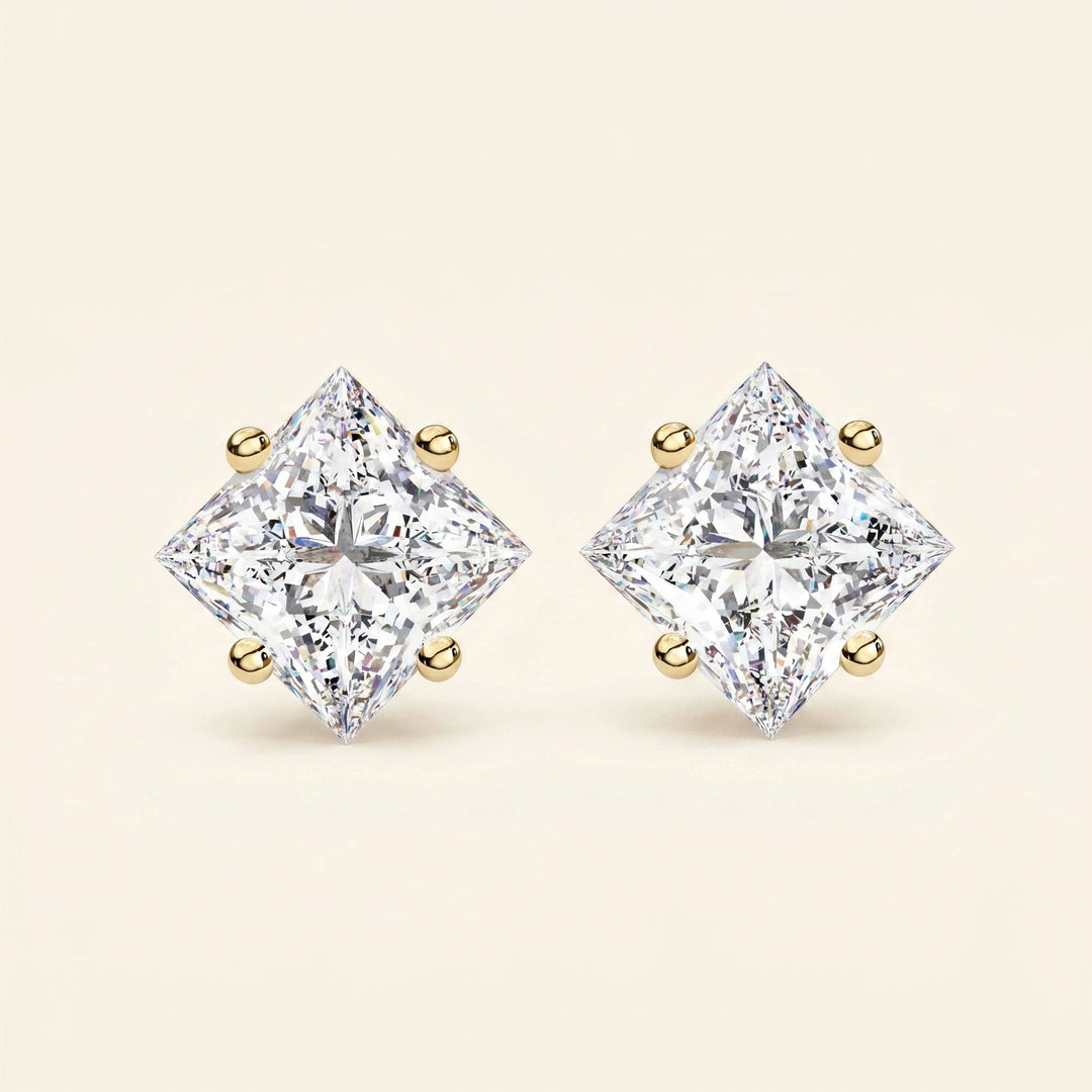 Puces d'oreilles panier