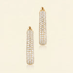 Load image into Gallery viewer, Latch Back Hoop Earrings
