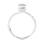 Load image into Gallery viewer, Side profile of 1.30 Carat Double Halo Twisted Moissanite Ring In White Gold, highlighting the prong setting.
